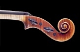 violin scroll